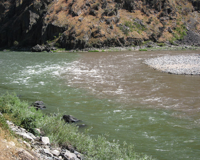 Silty Middle Fork/Main Convergence